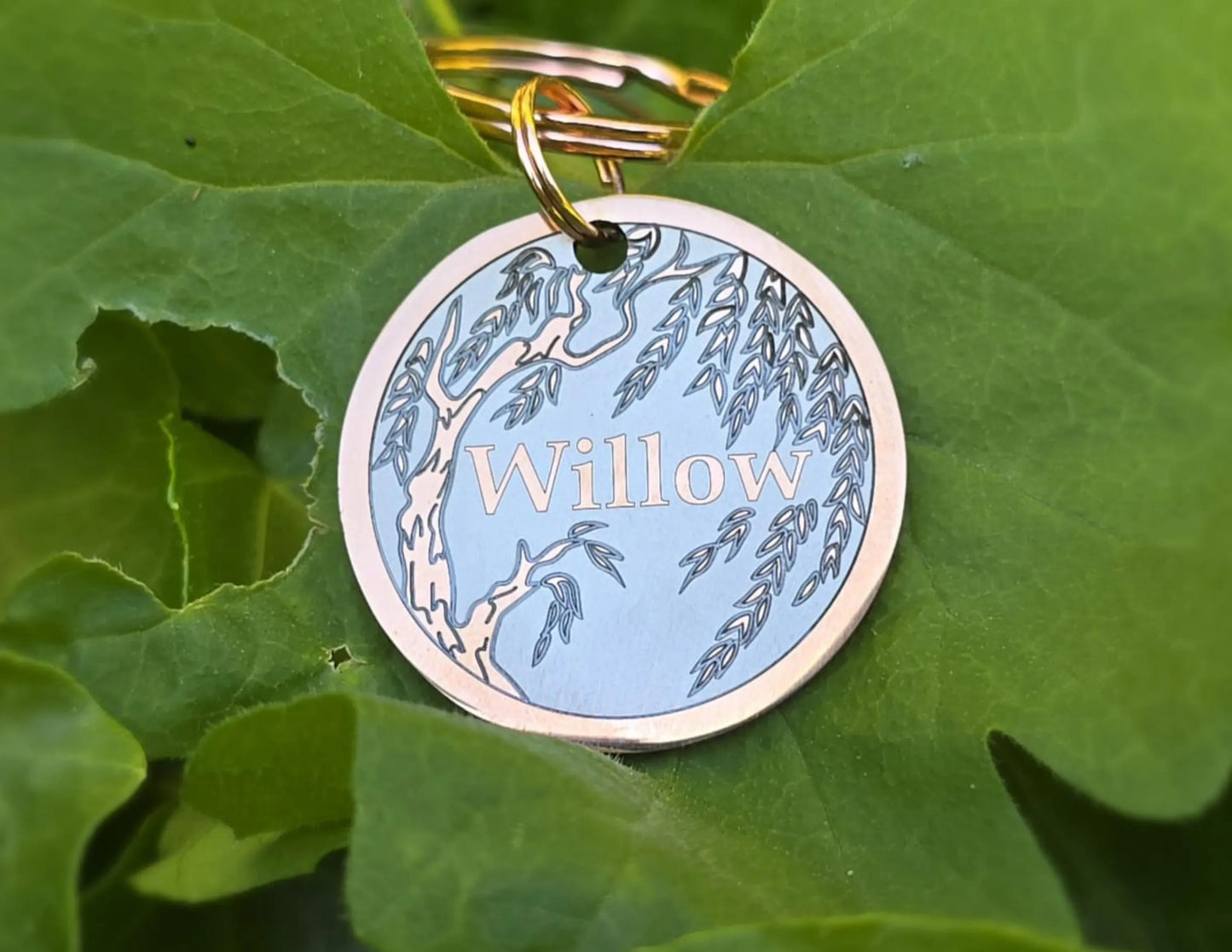 Willow Design - Bark'n'Tag